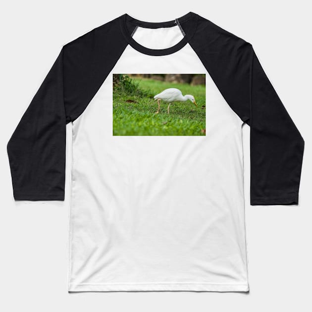 Cattle Egret 3 Baseball T-Shirt by KensLensDesigns